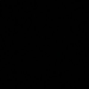 Meet your Posher, Antonio